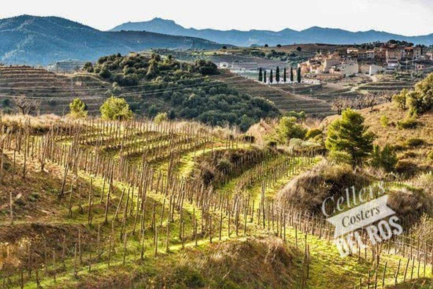 Ca Laixut Turismo Rural Gratallops Luaran gambar